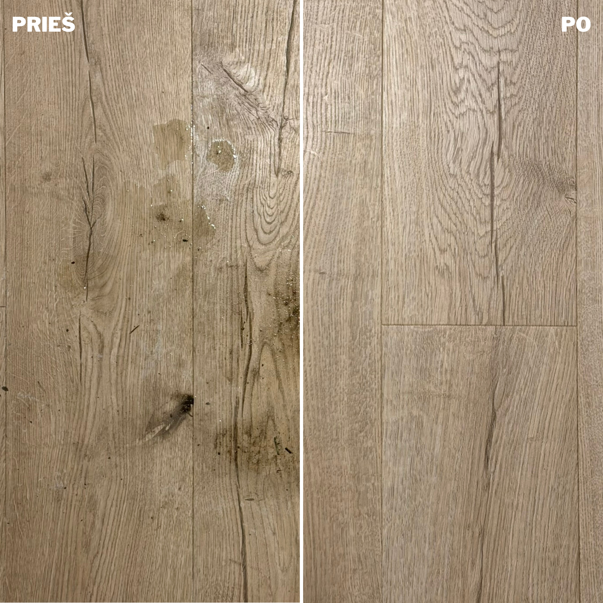 Daily floor cleaner (concentrate) 1l - BIOPUR