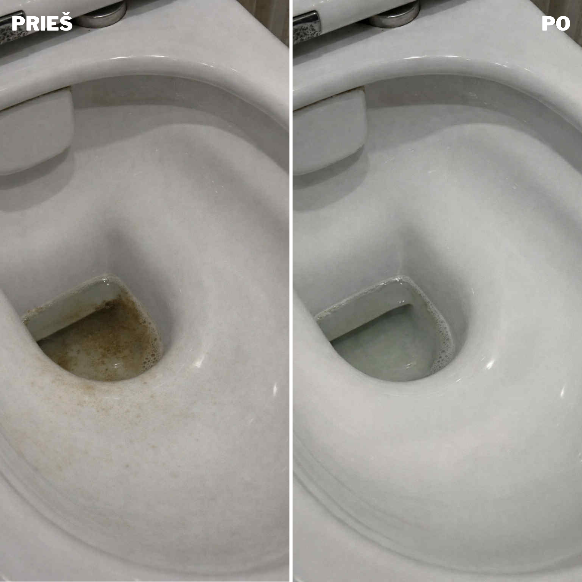 Rūgštinis tualeto valiklis (gelis) 840ml - BIOPUR